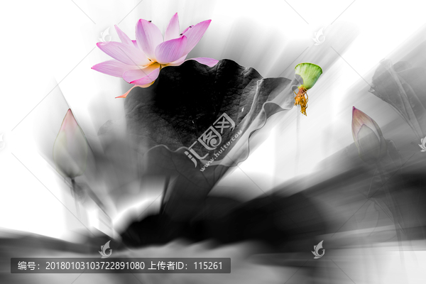 水墨荷花夢幻