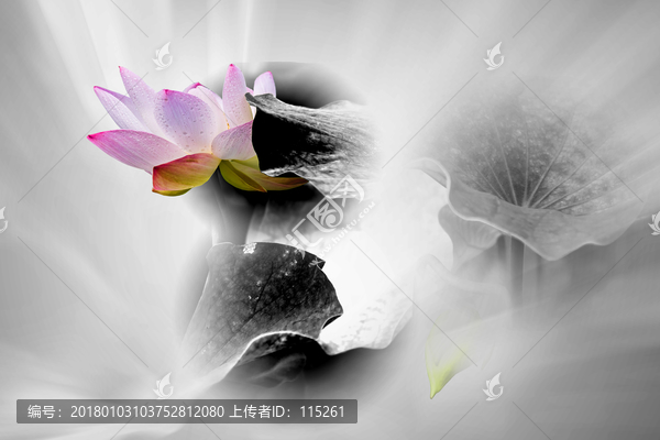 水墨荷花一點(diǎn)紅