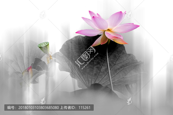 一點紅雨蒙蒙