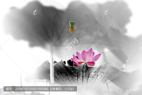 水墨荷花夢幻