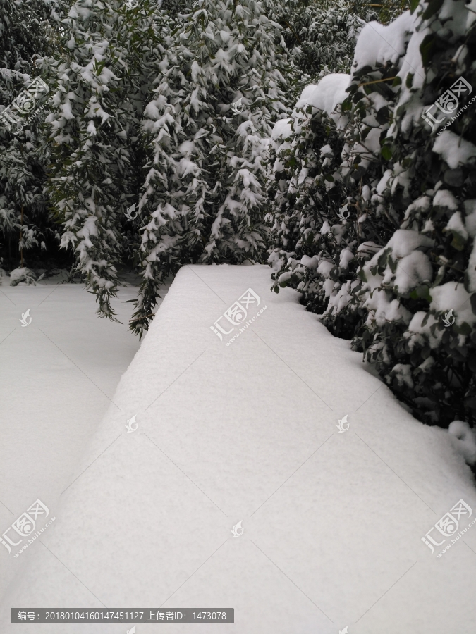 雪景