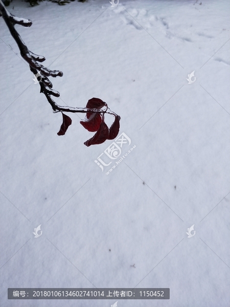 冰天雪地,（39）