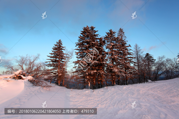 雪乡,雪乡风景,中国雪乡,雪