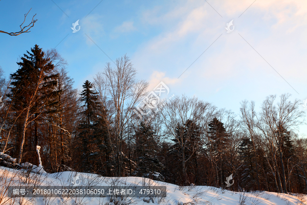 雪乡,雪乡风景