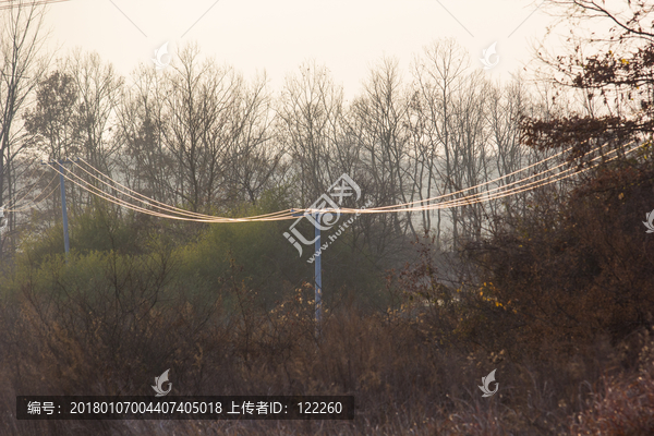 電線桿 電線