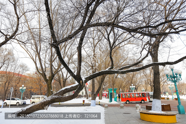 雪地,雪景