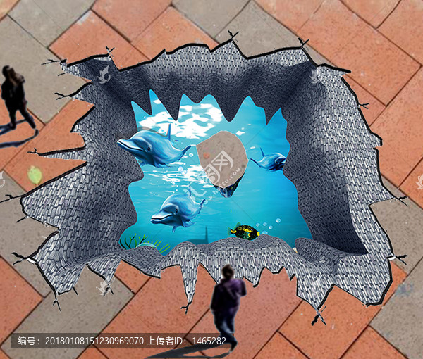 3D地板畫海豚