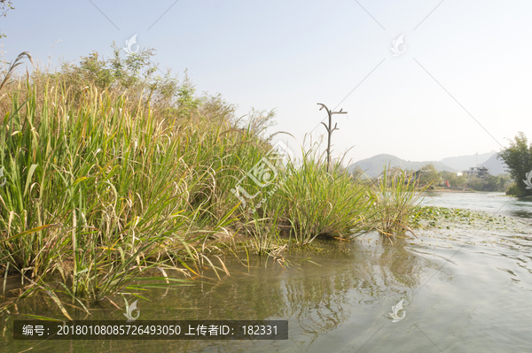 水岸边