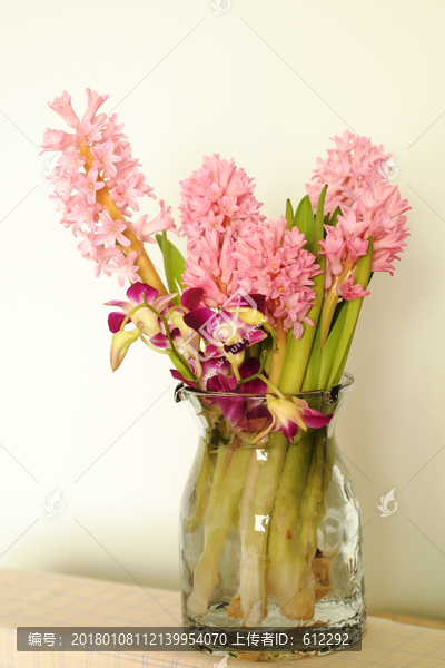 鲜花,花艺,插瓶,风信子