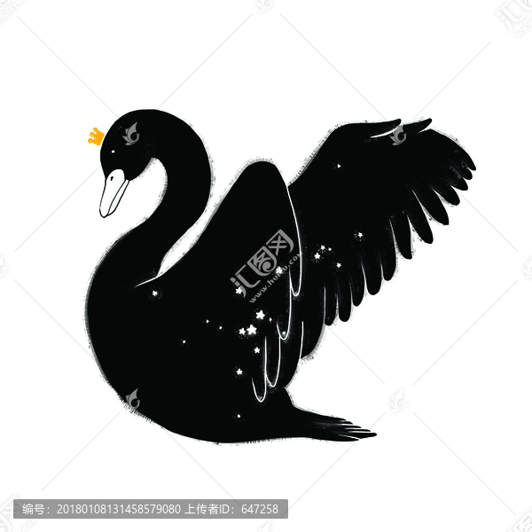 星之夢,黑色天鵝