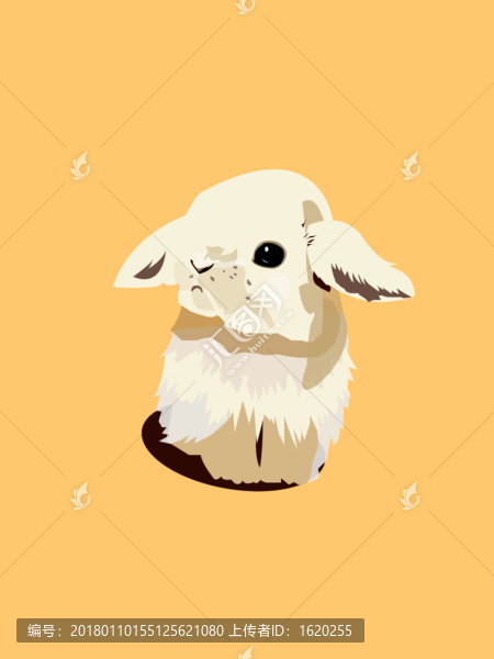 小白兔