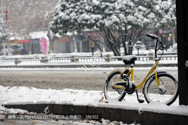 雪地共享单车