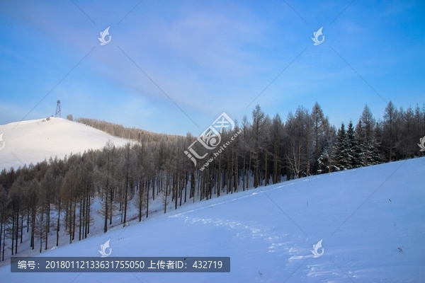 冬季森林雪景