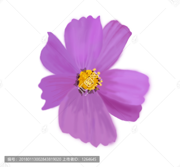手繪花卉