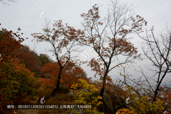 喇嘛山秋色