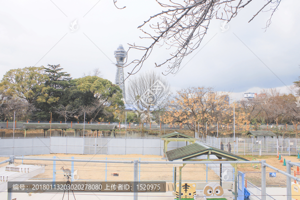 日本,大阪,街景,动物园