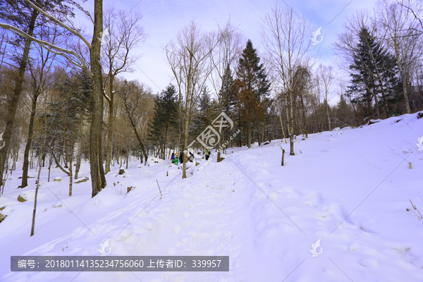 雾凇,冰雪风光,雪景,蓝天白云