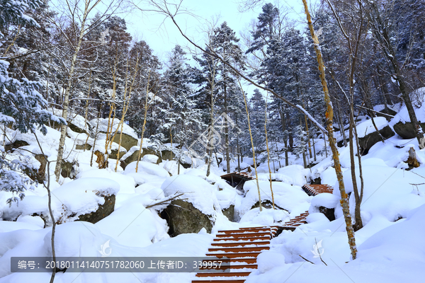 雾凇,冰雪风光,雪景,蓝天白云