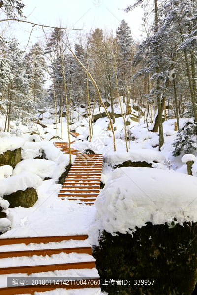 雾凇,冰雪风光,雪景,蓝天白云