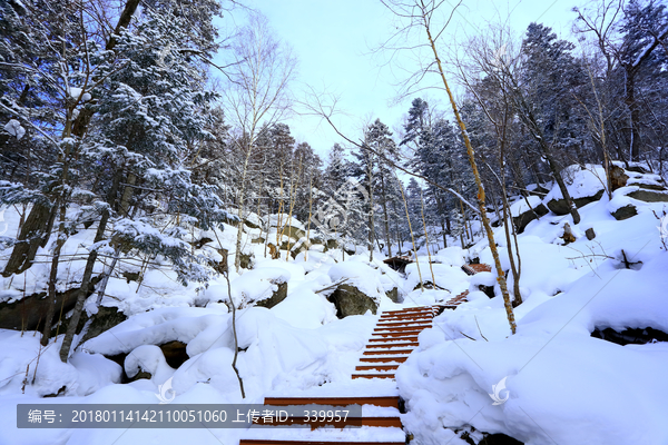 雾凇,冰雪风光,雪景,蓝天白云