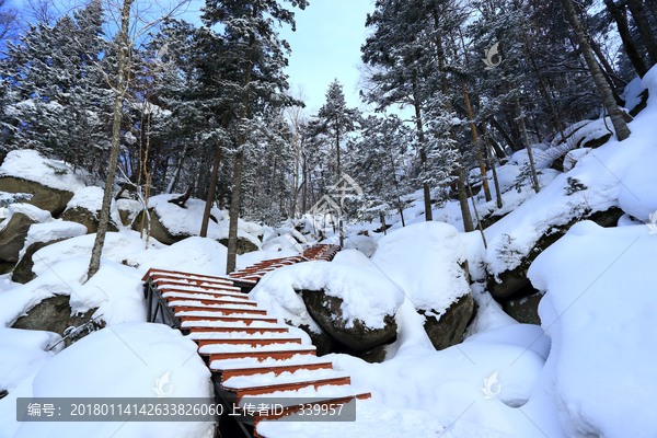 雾凇,冰雪风光,雪景,蓝天白云