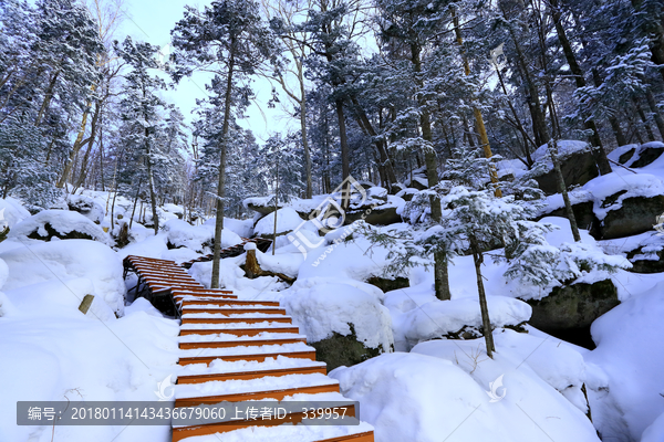 雾凇,冰雪风光,雪景,蓝天白云