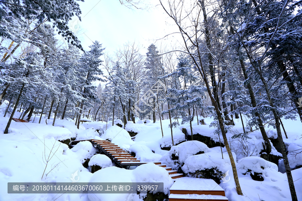 雾凇,冰雪风光,雪景,蓝天白云