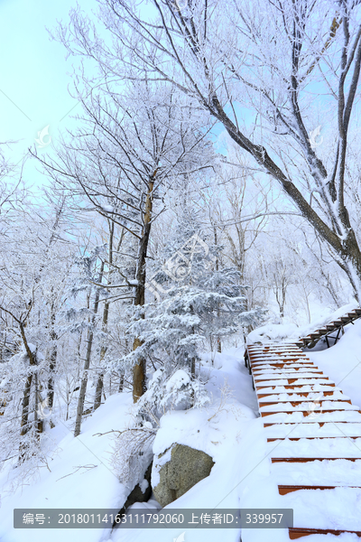 雾凇,冰雪风光,雪景,蓝天白云