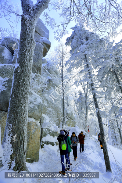 雾凇,冰雪风光,雪景,蓝天白云