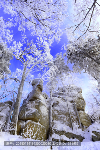 雾凇,冰雪风光,雪景,蓝天白云