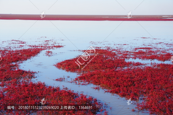 辽宁盘锦红海滩