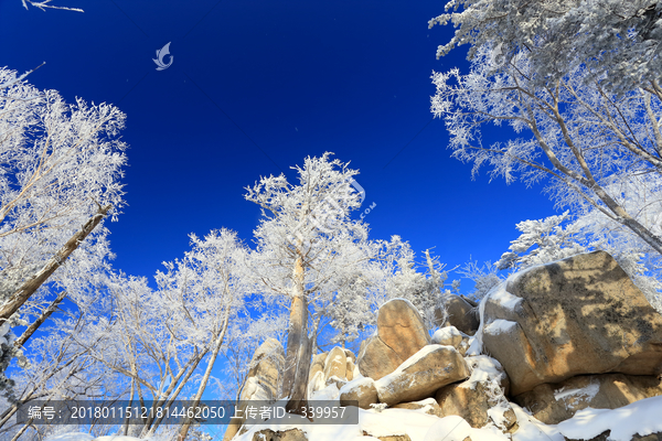 雾凇,冰雪风光,雪景,蓝天白云