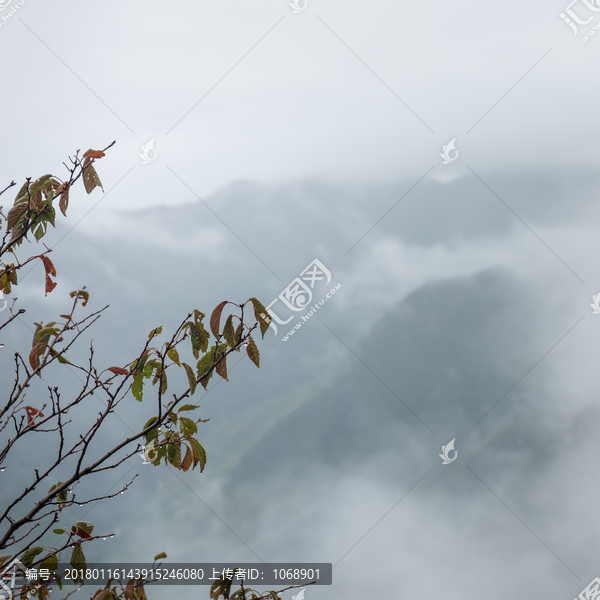 雨中看山