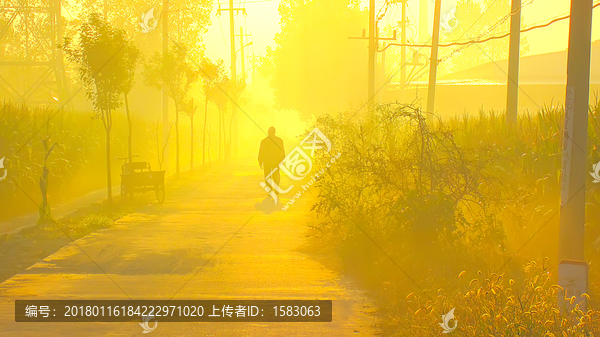 晨雾山村