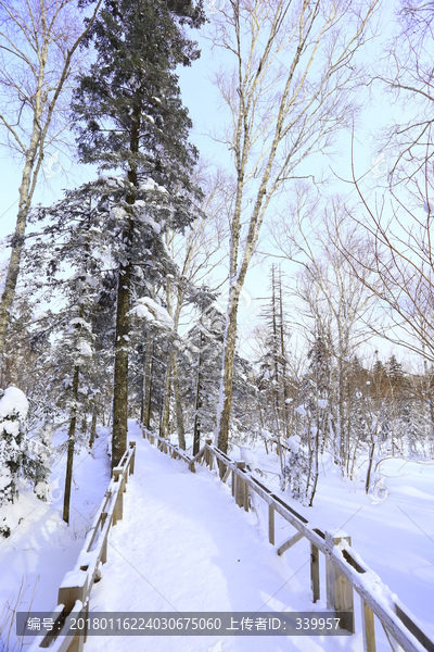 雾凇,冰雪风光,雪景,蓝天白云