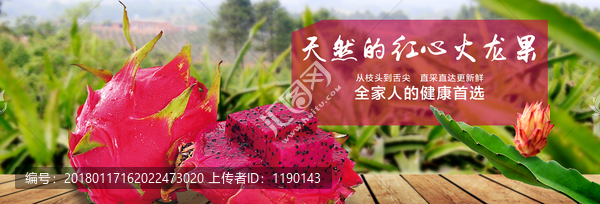 紅心火龍果