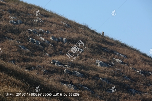 父子山风景