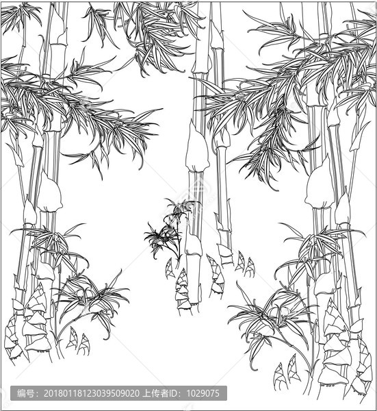 金風(fēng)竹
