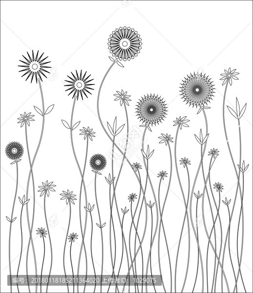 太陽(yáng)花