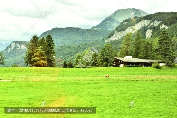 高山草原