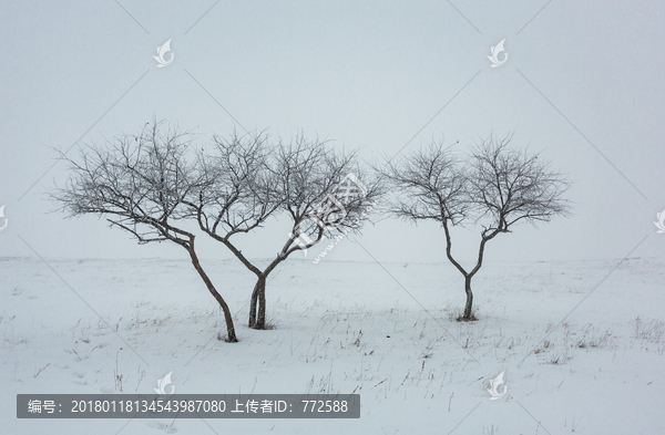 草原坝上的雪景