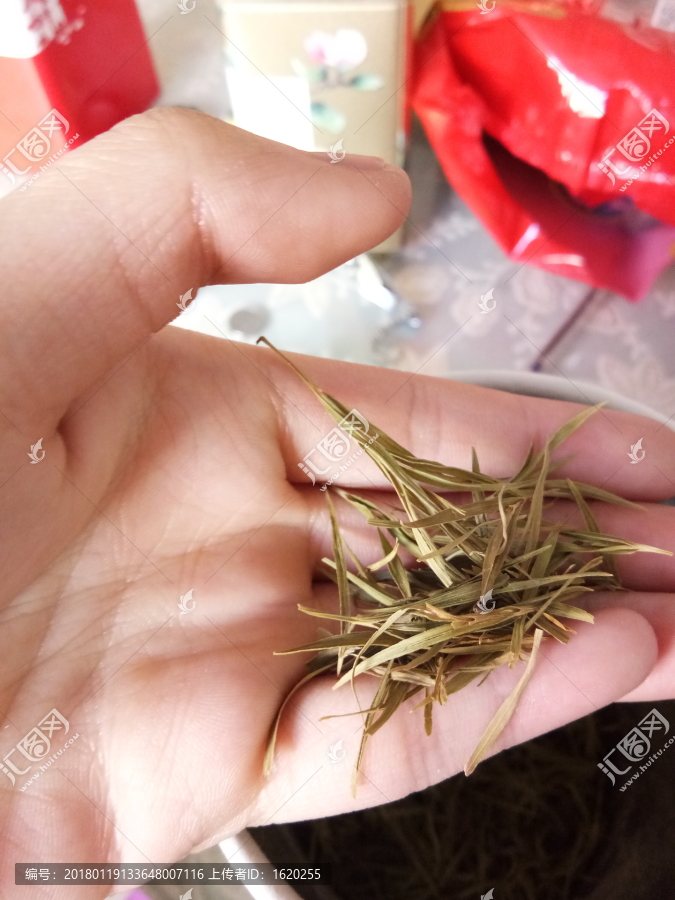 手捧茶叶