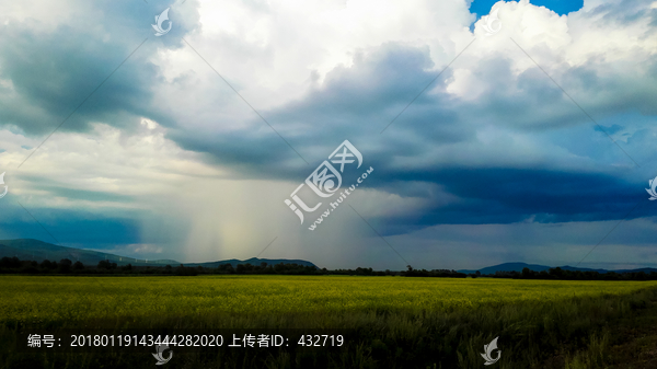 积雨云油菜花