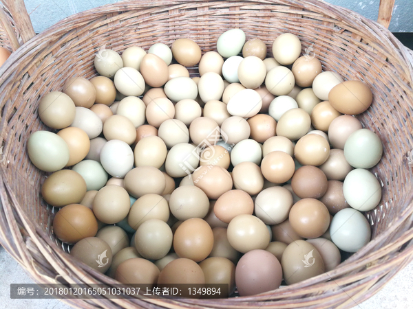山鸡蛋,土鸡蛋,鸡蛋