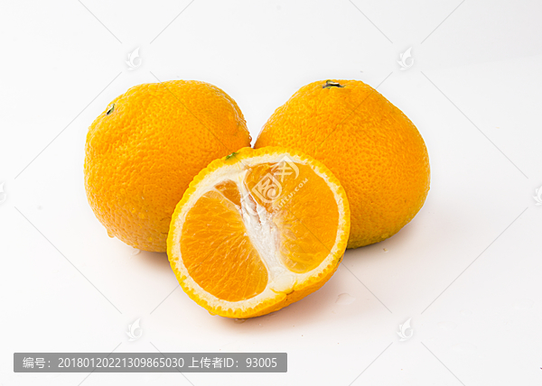 橘柚摄影
