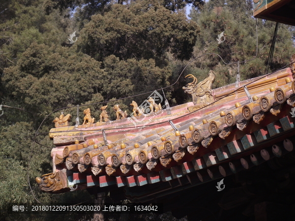 景山公園脊獸
