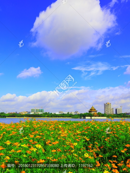 山水风景