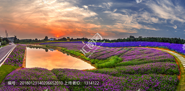 南京浦口楚韵花香风景区