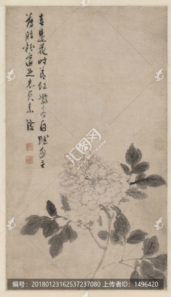 陳道復,牡丹花卉圖
