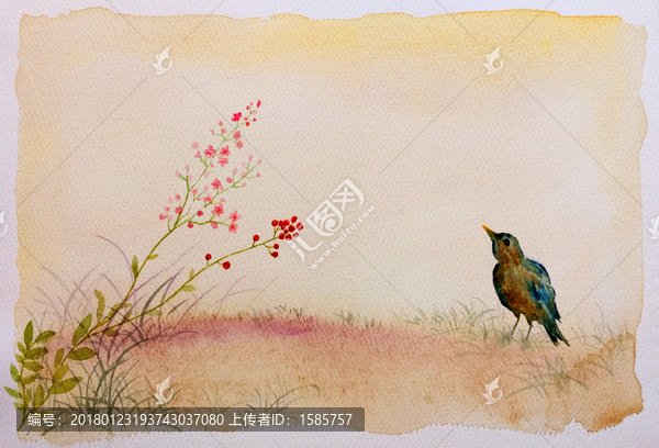 手繪水彩花鳥